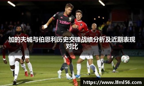 熊猫体育官网网址